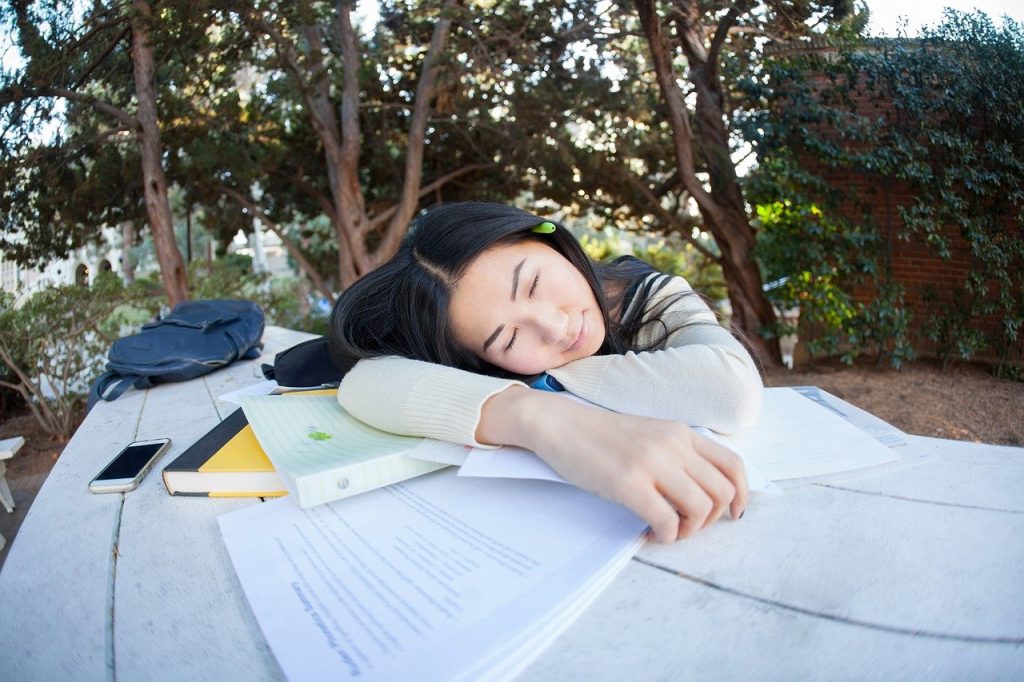 student, girl, study-4127340.jpg